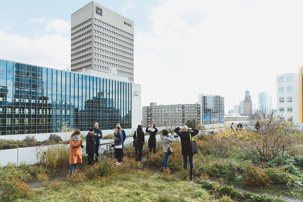 Rotterdam innovation sustainable tour